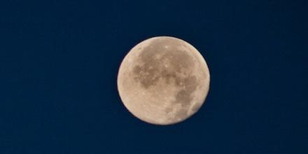 Moon Phases tweet media