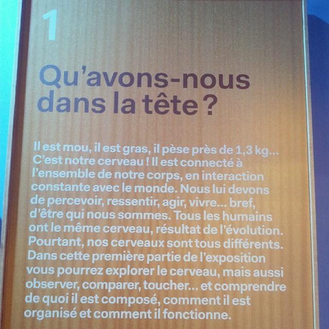 citedessciences's tweet photo. Photo de @cynthia_eiko : "Qu'avons nous dans le #C3RV34U ?
Réponse à la #citedessciences", http://t.co/AVJS1Td3ax http://t.co/gttlP6pYRg