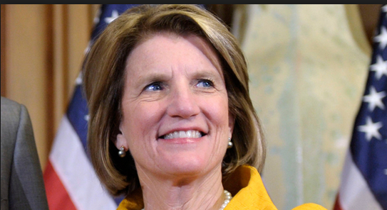 Shelley Moore Capito is elected the first female senator from West Virginia: buff.ly/1xeYHfz
