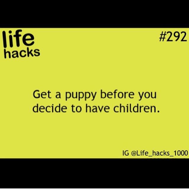 hackforlife56 tweet picture