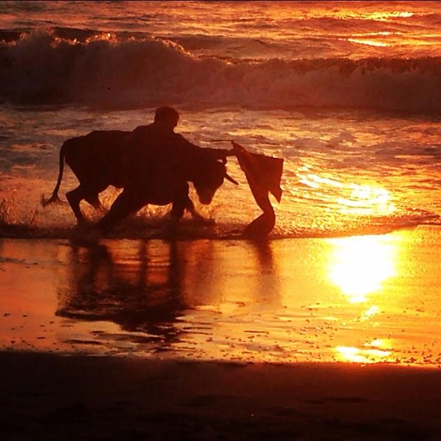 David Fandila tweet media