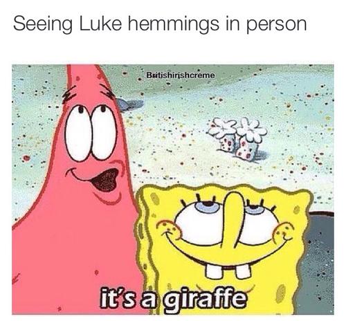 i'm gonna tweet some of the best 5sos tumblr posts

the more rts, the more votes #vote5sos