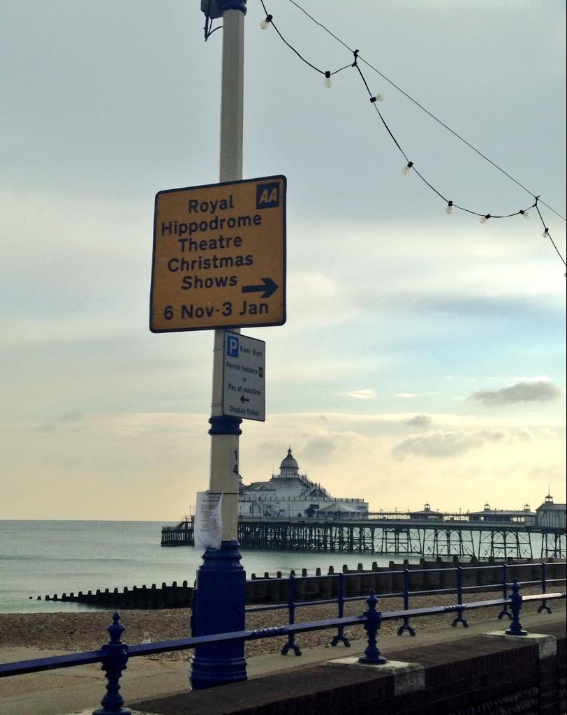 cmas_cracker's tweet photo. If you don't know where to find us...you can follow our AA yellow signs!! @royalhippodrome http://t.co/9CgmnspKJX