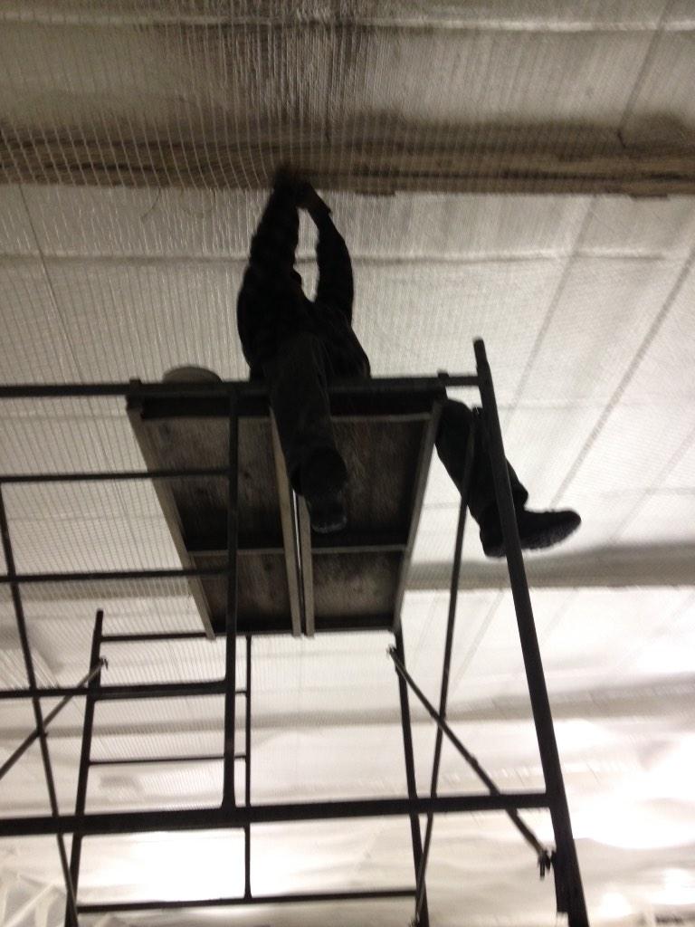 tysonscott1's tweet photo. @Warrior_Probs just giving the roof some touch ups courtesy of @Pad_Stack33 #coach #getErDone http://t.co/p8njFYOH1V