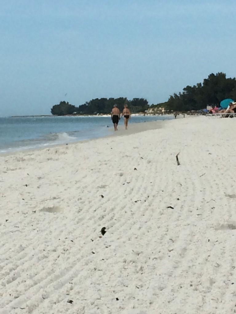 kkuizon's tweet photo. Such a peaceful and relaxing day #IslandLife #Beachday #LoveFL #GoodbyeElections http://t.co/NKB7tTfEC7
