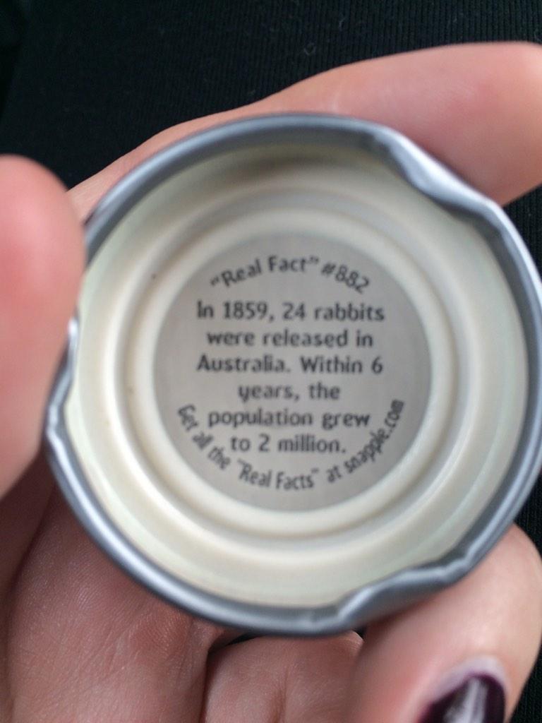 SdotFin10's tweet image. Freakay lil thangs! #snapplefact