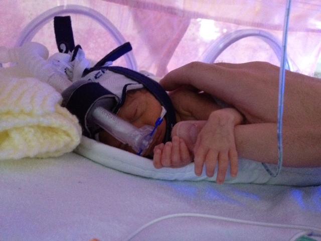 Haven’t sent in a pic for our #worldprematurityday collage yet? There’s still time, email them to media@bliss.org.uk