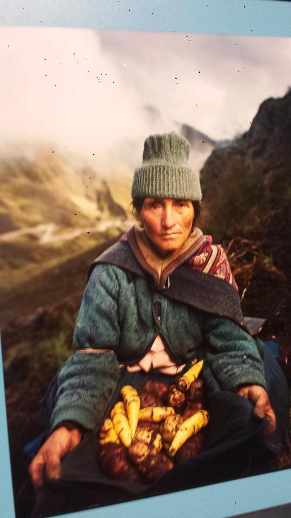 danisarns's tweet photo. @AUMediaUC 
I really liked how this photograph focused on the woman, the food that she harvested &amp; her expression. http://t.co/YuGHOfUiIr