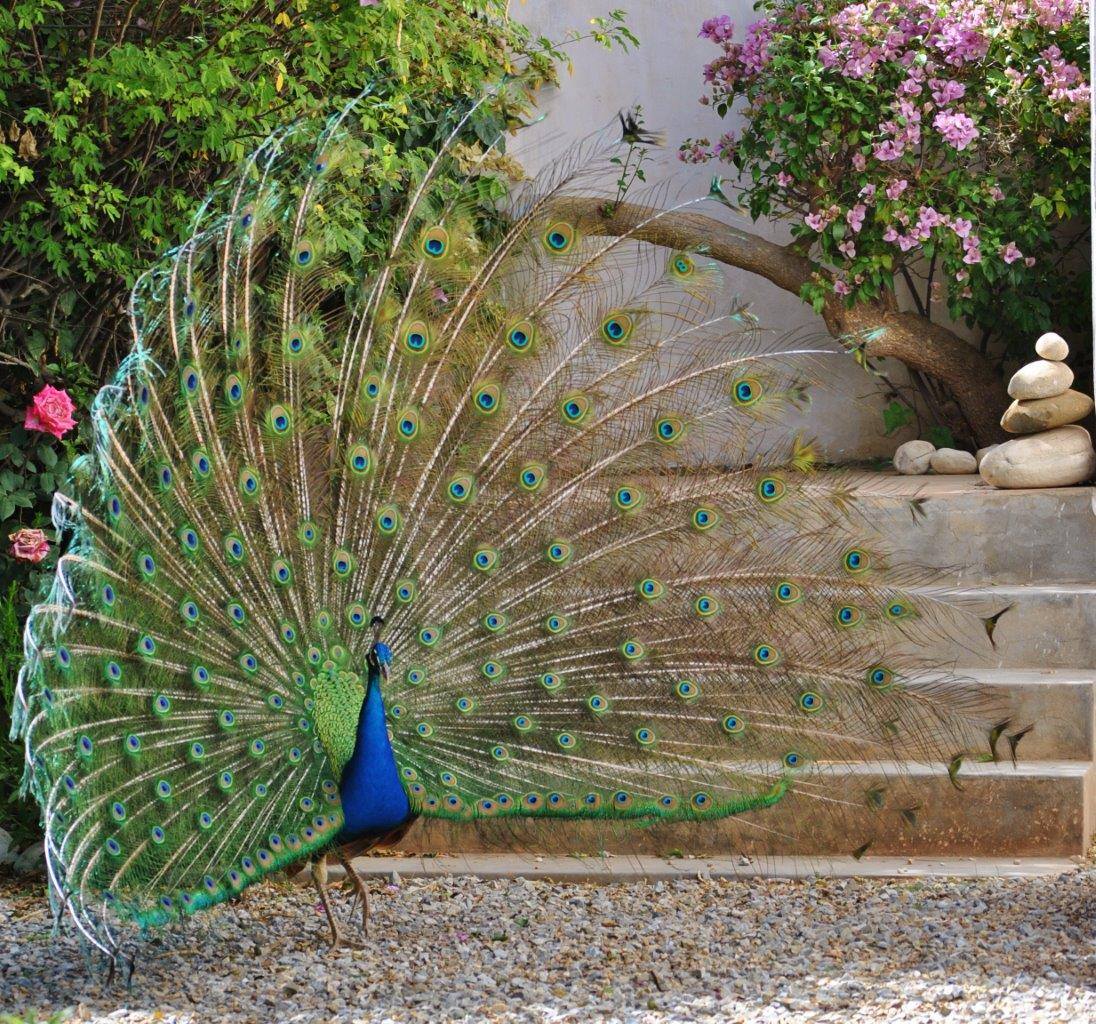 <a href="/ExclusivGetaway/">Exclusive Getaways</a> <a href="/TemenosRetreat/">Temenos Retreat</a> is an incredible &amp; sacred place! @McGregorMassage amazing therapists! #travelchatsa