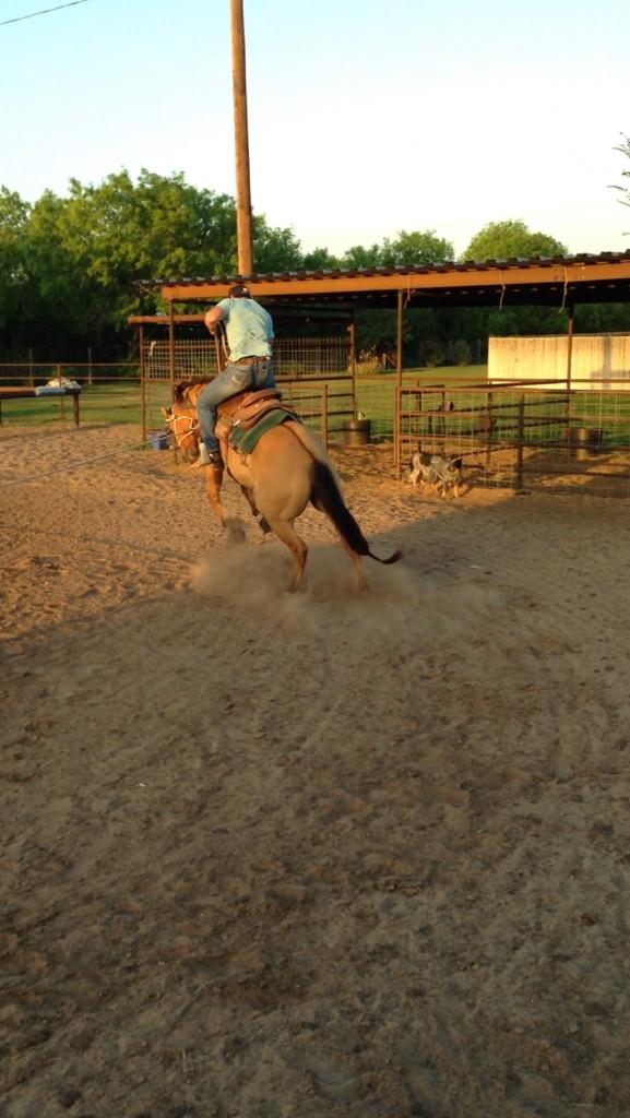 ASCMponce99's tweet photo. #westernwensday #wannabe #broncbuster http://t.co/ULd3RagywT