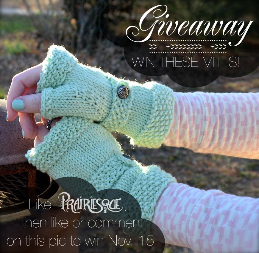 Prairiesque's tweet image. I'm having a #handmade #giveaway just for fun, and entering is super- easy!!  tinyurl.com/PRmitts1114