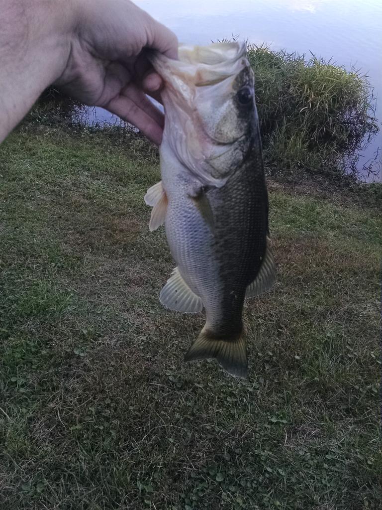 a2parke's tweet photo. 2lbs 3 oz http://t.co/xbV4hnYL3Y