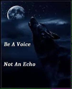 OrmusTemple's tweet photo. Be a voice, not an echo! X http://t.co/Tz2ffYZkOf