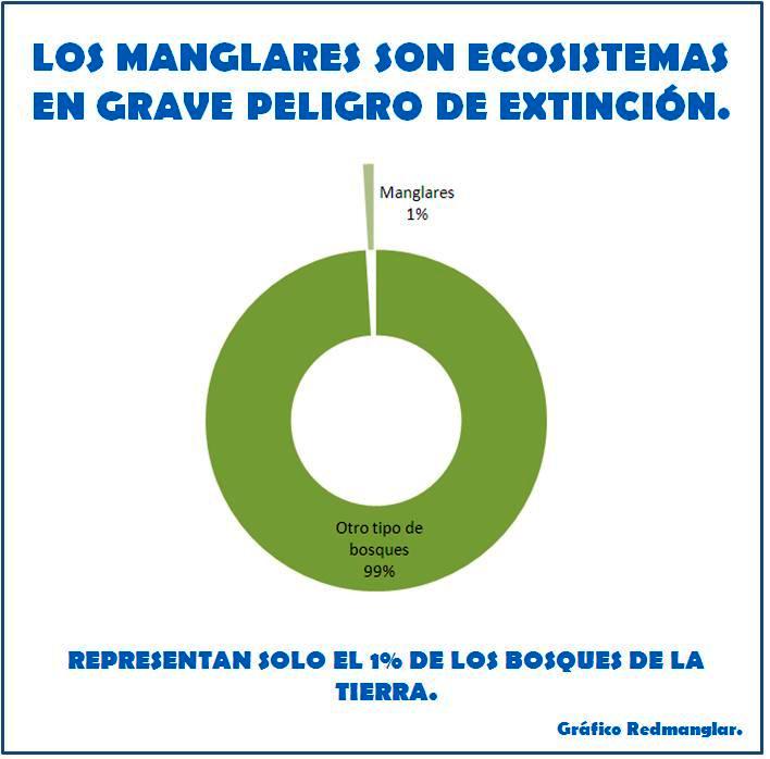 Manglar ecosistema único, en peligro. <a href="/lidergongora/">Lider Gongora Farias</a> @Hcolinavzla <a href="/AEPAFALCON/">AEPA FALCON</a> <a href="/SocialPreCOP/">Social PreCOP</a> @funlipdelsiLPS <a href="/JJLN0468/">Juan Jose Lopez Negrette</a>