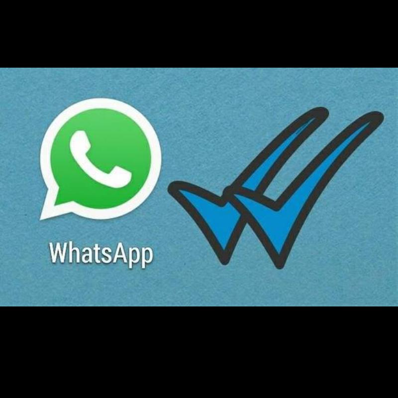 elcosodelapizza's tweet photo. Todo era casi perfecto hasta que  llego el  #Whatsappbuchon http://t.co/QWU8DUFOuF