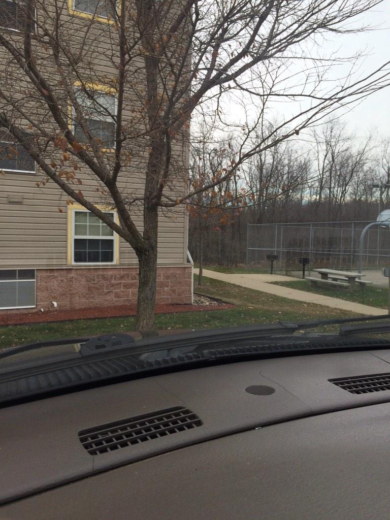 MaryKatePod's tweet photo. Every morning I wake up and look out the window and ask when the snow is going to come 😔 soon I hope. http://t.co/JGKVrqhCtY