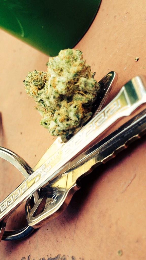 MikeOPerez's tweet photo. Bad bitches and good weed. http://t.co/PJtpKxRKHS