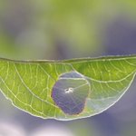 Photo by UberPhotos (@UberPhotographs)