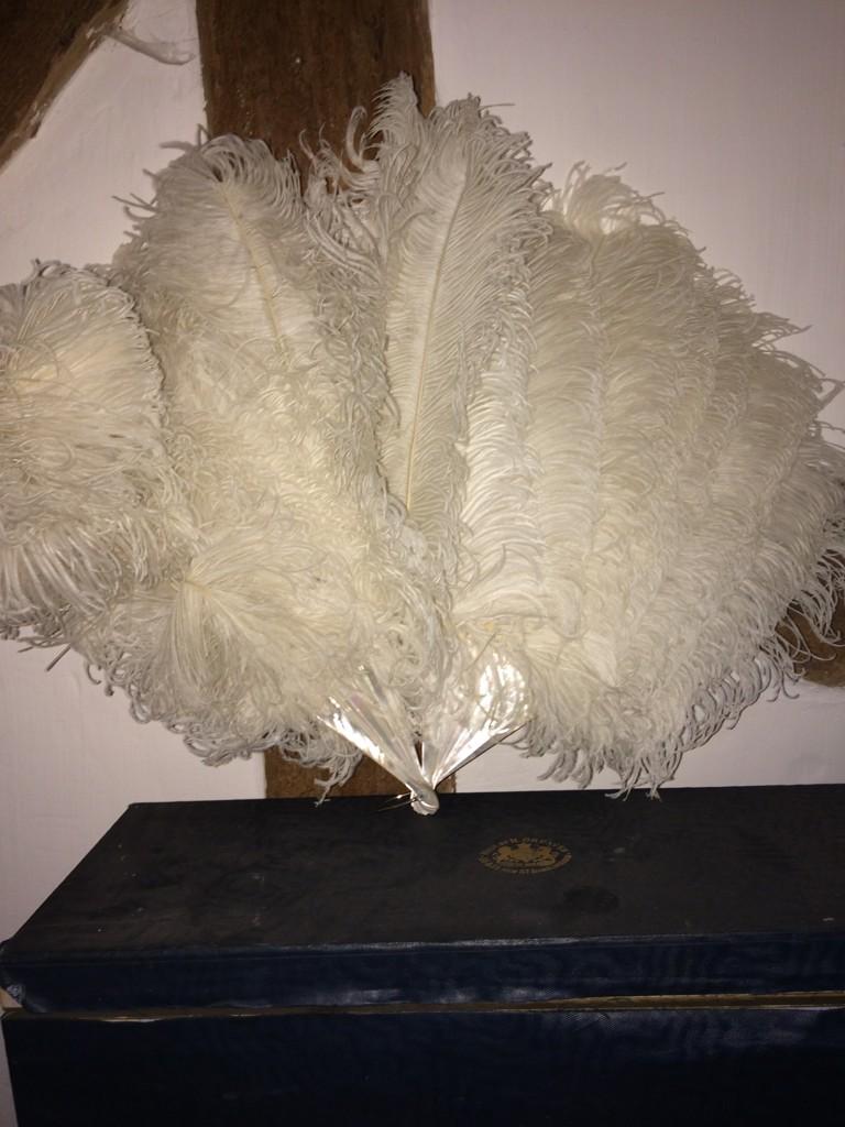 Magnifique383's tweet photo. #vintagefindhour just found this mother of pearl and ostrich feather fan while clearing out my bedroom http://t.co/Z8a8e10d0G