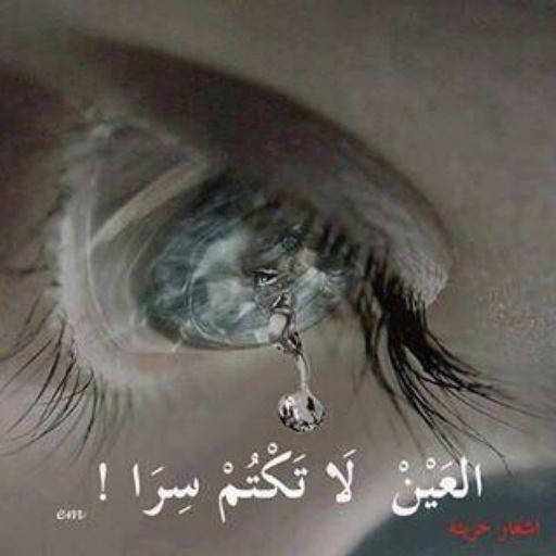 nnn3993's tweet photo. @Insurgent_101 http://t.co/HcFTnitM9V