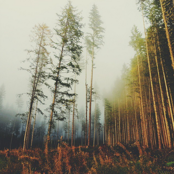 Fall Times. Small Rhymes.
#squamish