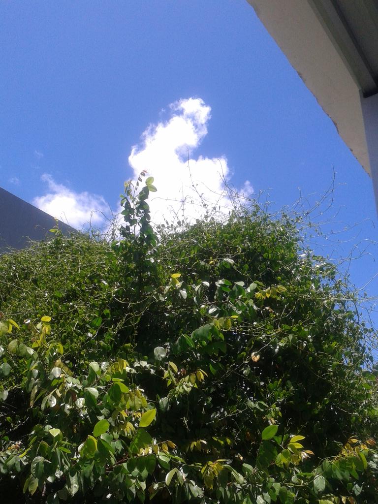 PrisLimma's tweet photo. Sobre o dia de hoje... Lindo! http://t.co/JDAVOAHYHH