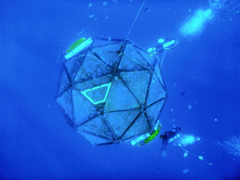 NOAAFishMedia's tweet image. Offshore Aquaculture Offers New Promise: bit.ly/1GqCyRR