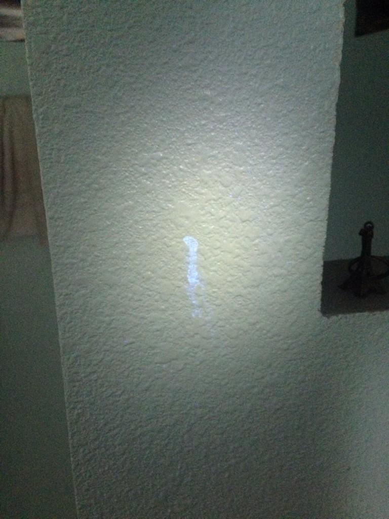Scumlight tweet picture