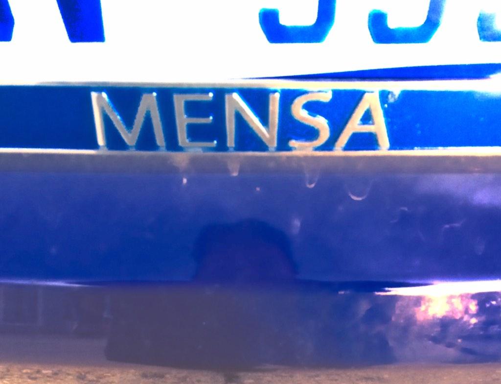 DharmamitraJeff's tweet image. #ConfirmationBias; having an IQ that&apos;s multiple #StandardDeviations above avg is oft more hindrance than help. #MENSA