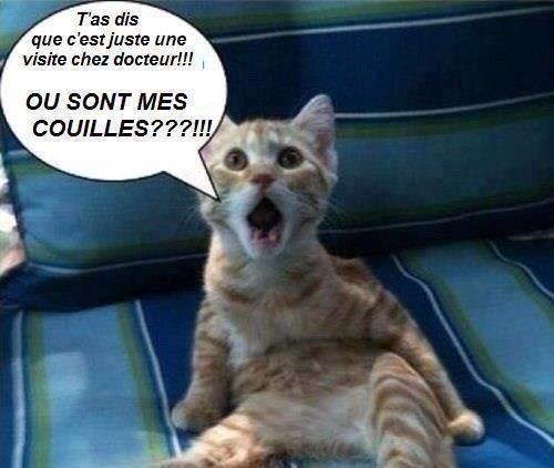 WantedFalcon's tweet photo. #toiaussituasetedecupar ça 😂😂😂 http://t.co/R6rpaeUady