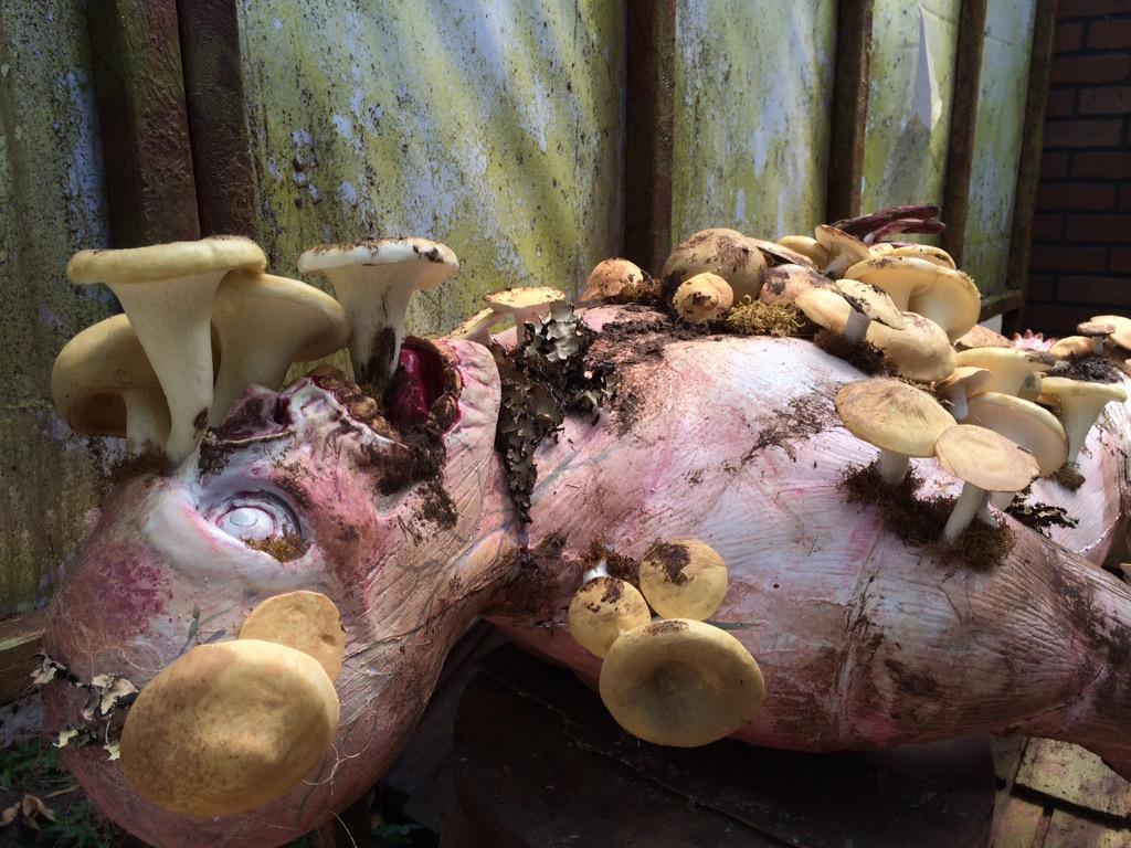 RadleyRelics's tweet photo. @BryanFuller Your work is greatly inspiring in my life and work. Thank you! #hannibal @RadleyHaunt .com http://t.co/GUk2UvIwOS