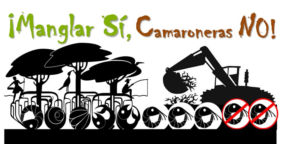 13 razones porque nos oponemos a la acuicultura industrial del camarón. <a href="/lidergongora/">Lider Gongora Farias</a> <a href="/JJLN0468/">Juan Jose Lopez Negrette</a> @Hcolinavzla