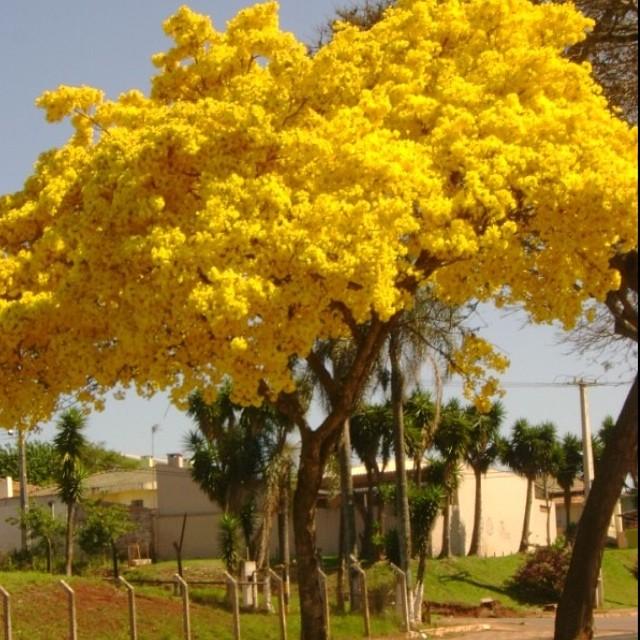 EL OTOÑO SE ACERCA CON MUY POCO RUIDO...* - Página 21 B1tzcZ1CMAIHXHI