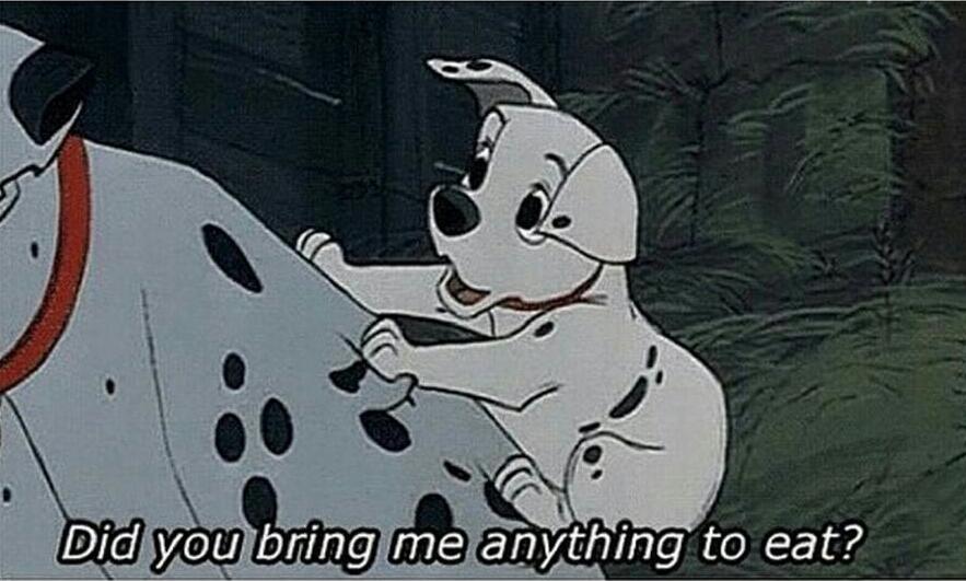 EquestrianMeme's tweet photo. When my horse sees me walk into the barn, he's like

#eqmemes http://t.co/4j234Yv5Sq