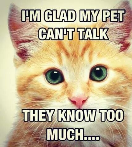 SoftTsof's tweet image. I'm so glad