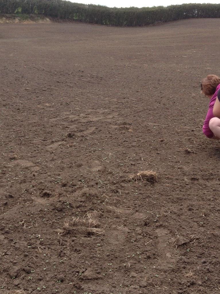 George Ramsbottom on Twitter: