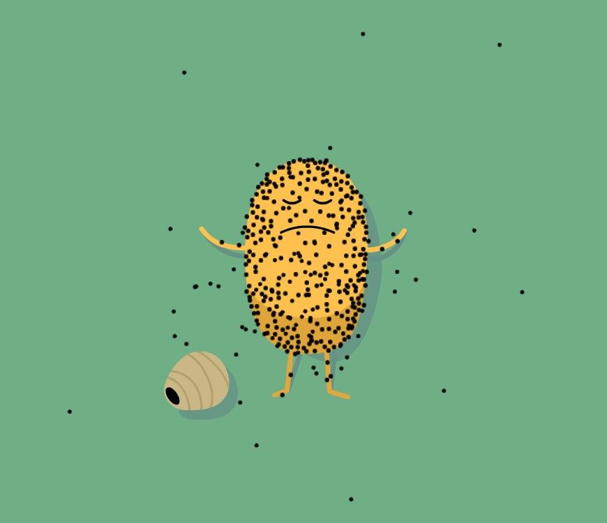 5stargina1's tweet photo. What's pie http://t.co/Uyl4icXHqI