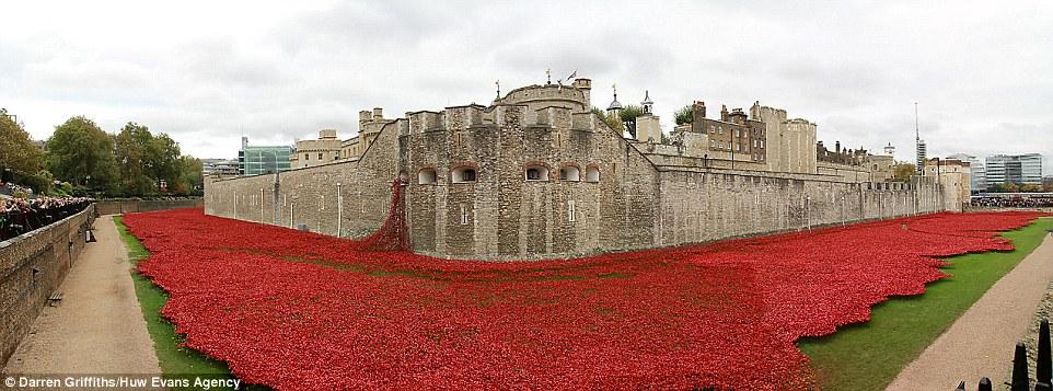Tower of London #PoppyAppeal #RemembranceDay