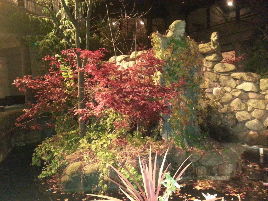 TheSteflen's tweet photo. Outdoor fountain at #ACUnityTO http://t.co/U5Lqrbl7Vj