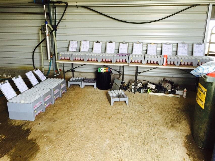 Alissakenn's tweet photo. That time of month again. Herd testing one of the less fun jobs on a dairy farm. #DiscoverAgriculture http://t.co/AiQEjarLk5