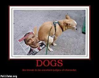 nhtreeguy's tweet image. 