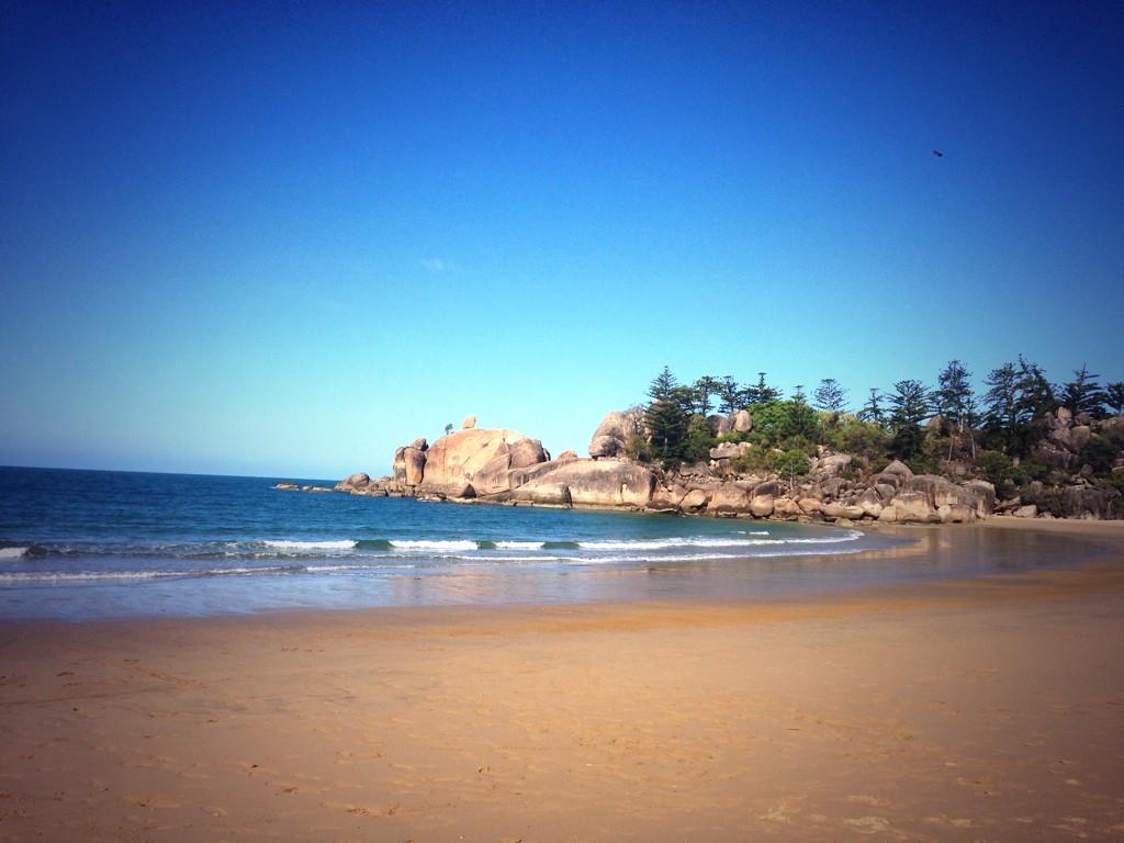 fs92's tweet photo. Wild koalas, an abandoned military fort and a private beach. Magnetic island I love you. http://t.co/E8Ixol4WtA