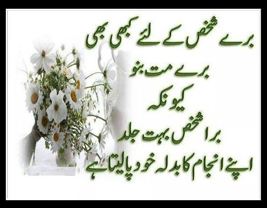 ASheikh348's tweet image. 