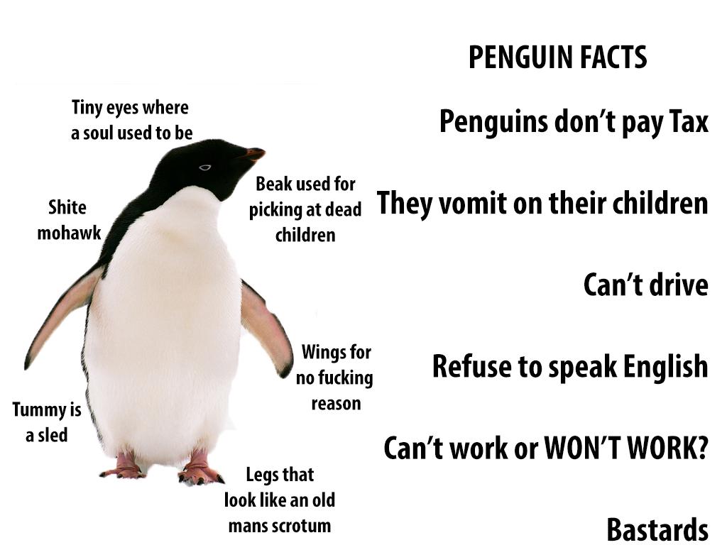 TechnicallyRon's tweet image. It's easy to think Penguins are cute, but what are the real facts?