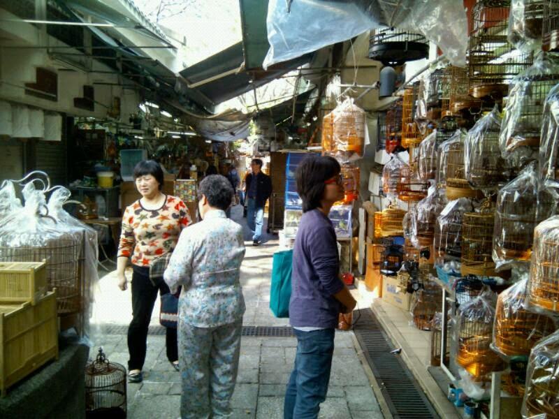 PDFxYTM's tweet image. Let me show u a beautiful and elegant Chinese garden in Hong Kong, click here-&amp;gt;  pdfxytm.blogspot.com