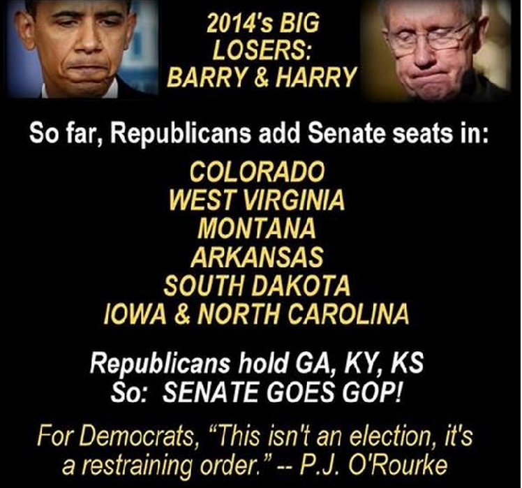 SweetFreedom29's tweet image. 2014 Biggest Losers: Barry and Harry #SenateControl