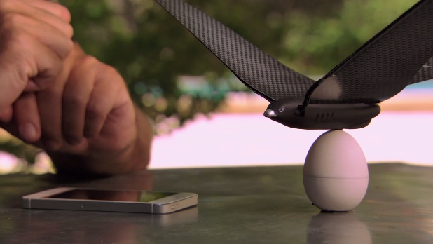 TechCrunch's tweet photo. Bionic Bird is an app-controlled drone that flies like a flappy bird http://t.co/dYU3R9aw9G http://t.co/06XQT0snTB