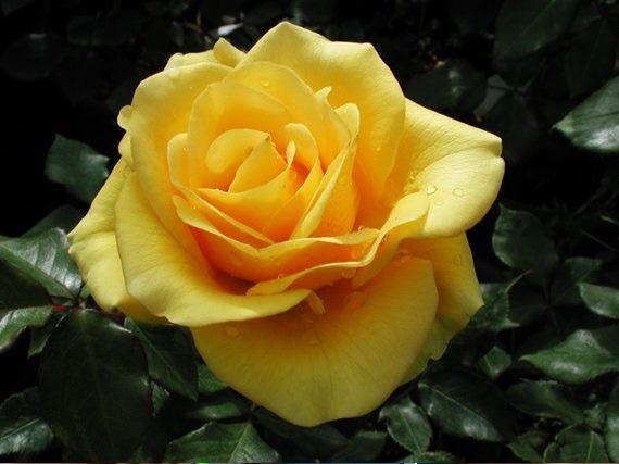 10 months with the most beautiful woman in the world. Love you <a href="/Evil_Bex/">Rebekah Salvatore </a>, always and ~forever we~ Happy anniversary❤️