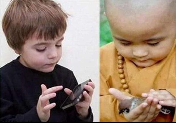 Энэ зураг нэгийг хэлнээ