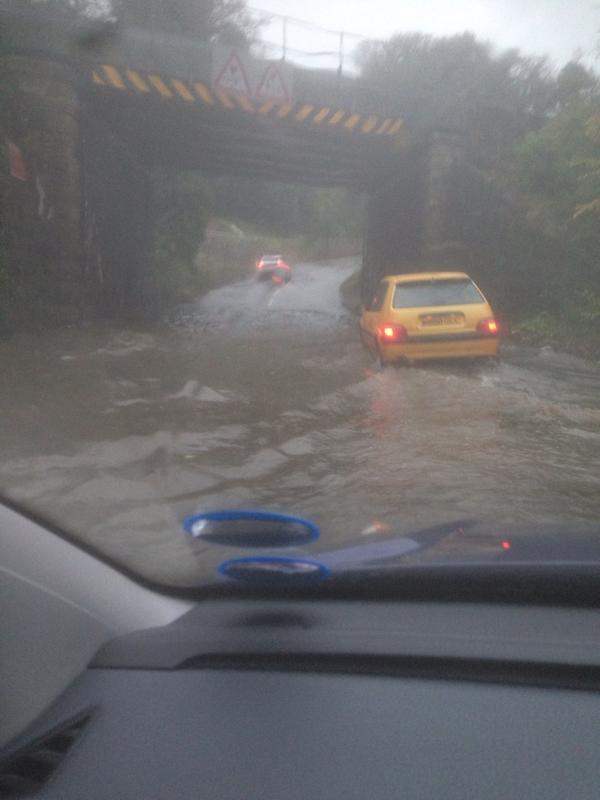 View image on Twitter